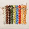 Set of OwlForest Hand-Dyed Threads for “The Little Wood Folk.  Ladybugs” Chart (Thread Trade n.a. Kirov)