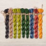 Set of OwlForest Hand-Dyed Threads for the “Forest of Wonders” Chart (DMC)