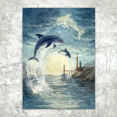 “Delphinus Constellation” Postcard