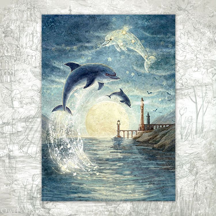 “Delphinus Constellation” Postcard