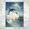 “Delphinus Constellation” Postcard
