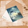 “Delphinus Constellation” Postcard