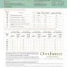Digital embroidery chart “Emerald Bird Night Songs”