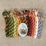 Embroidery kit “Dobromir”