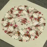 Printed embroidery chart “Blossom Season”