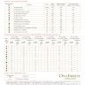 Digital embroidery chart “Dobromir”