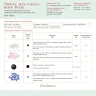 Printed embroidery chart “Black Pearl”