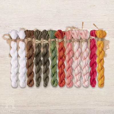 Set of OwlForest Hand-Dyed Threads for the “Blossom Season” Chart (DMC)