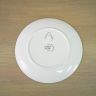 “Lyra Constellation” Plate