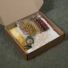 Embroidery kit “Barn Owl”