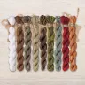 Set of OwlForest Hand-Dyed Threads for the “Manul” Chart (DMC)