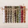 Set of OwlForest Hand-Dyed Threads for the “Manul” Chart (DMC)