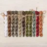 Set of OwlForest Hand-Dyed Threads for the “Manul” Chart (DMC)