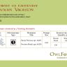 Printed embroidery chart “Snowman Vacation”