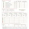 Printed embroidery chart “Snowman Vacation”