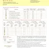 Digital embroidery chart “Lemon Bow”