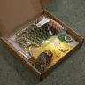 Embroidery kit “Northern Chestnut”