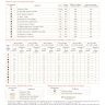 Digital embroidery chart “Lubava”