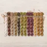 Set of OwlForest Hand-Dyed Threads for the “Barn Owl” Chart (DMC)