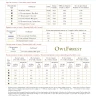 Digital embroidery chart “Spring Is Coming”