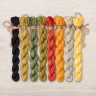 Set of OwlForest Hand-Dyed Threads for the “Pumpkin Crow” Chart (DMC)