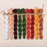 Set of OwlForest Hand-Dyed Threads for the “Gnome Studio. Pottery” Chart (DMC)