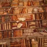 “Bookcase” Linen Shopping Bag 
