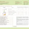 Printed embroidery chart “Color of the Spring”