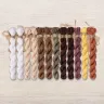 Set of OwlForest Hand-Dyed Threads for the “Light Sampler” Chart (DMC)