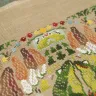 Printed embroidery chart “Morchella Cinema”