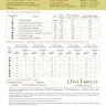 Printed embroidery chart “Morchella Cinema”
