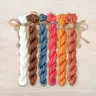 Set of OwlForest Hand-Dyed Threads for “Proverbs. About the Value of Hospitality” Chart (Thread Trade n.a. Kirov)