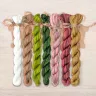 Set of OwlForest Hand-Dyed Threads for the “Snail Houses. Tulips” Chart  (Thread Trade n.a. Kirov)