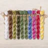 Set of OwlForest Hand-Dyed Threads for the “Wild Grasses. Grasshopper” Chart (DMC)