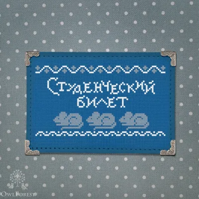 Student Identity Card of Dusya the Owl Academy