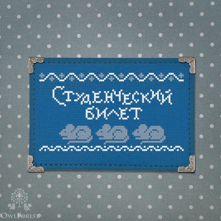 Student Identity Card of Dusya the Owl Academy