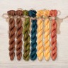 Set of OwlForest Hand-Dyed Threads for the “Mesoamerican Motifs” Charts (Thread Trade n.a. Kirov) 5 colors