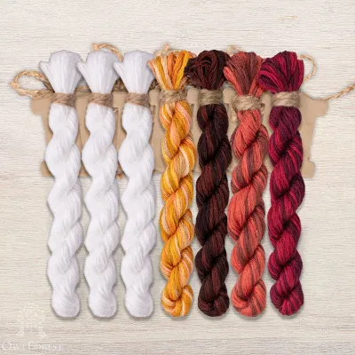 Set of OwlForest Hand-Dyed Threads for the “Winter Scenes. Park” Chart (DMC)