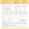 Printed embroidery chart “Belarusian Motifs. Storks”
