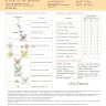 Digital embroidery chart “Color of the Autumn”