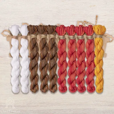 Set of OwlForest Hand-Dyed Threads for the “Belarusian Motifs. Storks” Chart (DMC)