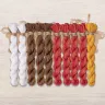 Set of OwlForest Hand-Dyed Threads for the “Belarusian Motifs. Storks” Chart (DMC)