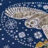 Embroidery kit “Winter Bringing Owl”
