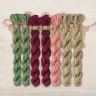 Set of OwlForest Hand-Dyed Threads for the “Tulip Tree” Chart (DMC)