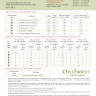 Digital embroidery chart “Summer in Bloom”