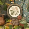 Free embroidery digital chart “Oak Branch”