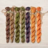 Set of OwlForest Hand-Dyed Threads for the “Pumpkin Shelf” (Thread Trade n.a. Kirov) 