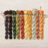 Set of OwlForest Hand-Dyed Threads for the “Pumpkin Houses” Chart (DMC)