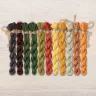 Set of OwlForest Hand-Dyed Threads for the “Pumpkin Houses” Chart (DMC)