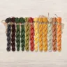 Set of OwlForest Hand-Dyed Threads for the “Pumpkin Houses” Chart (DMC)